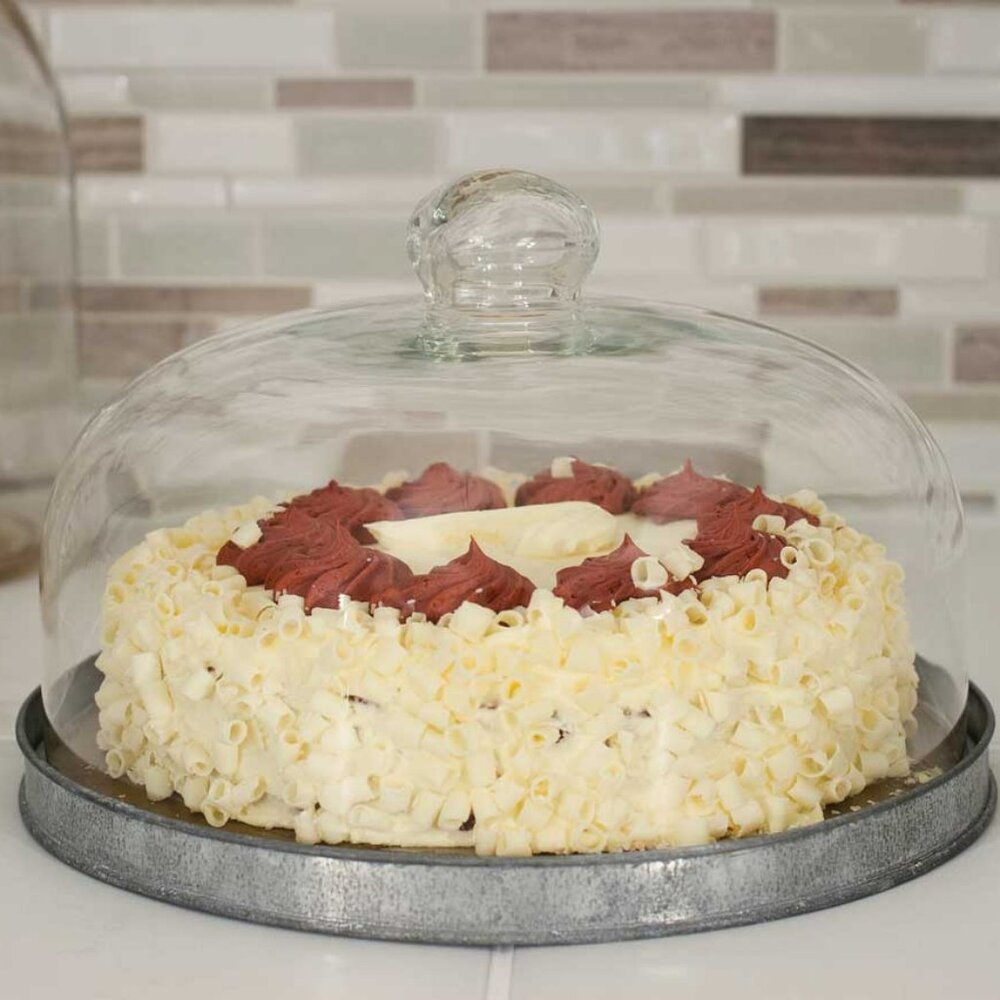New Dessert Cloche with metal Bsse